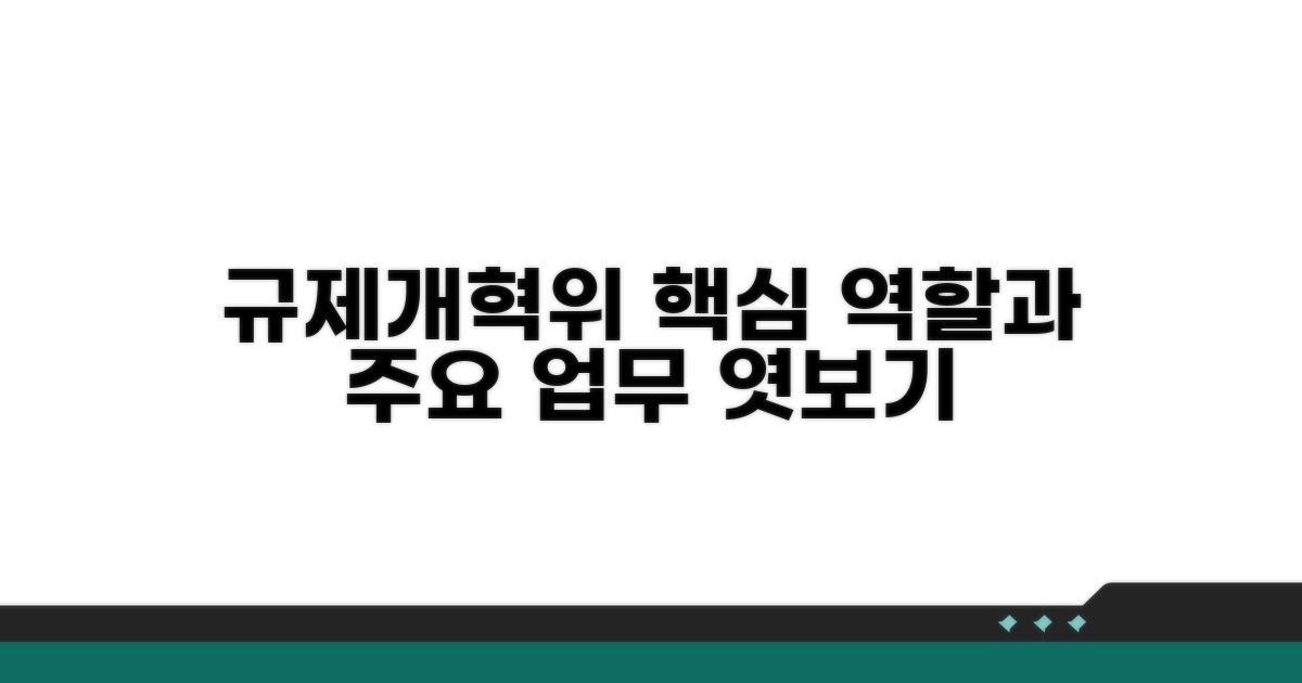 규제개혁위 역할과 주요 업무