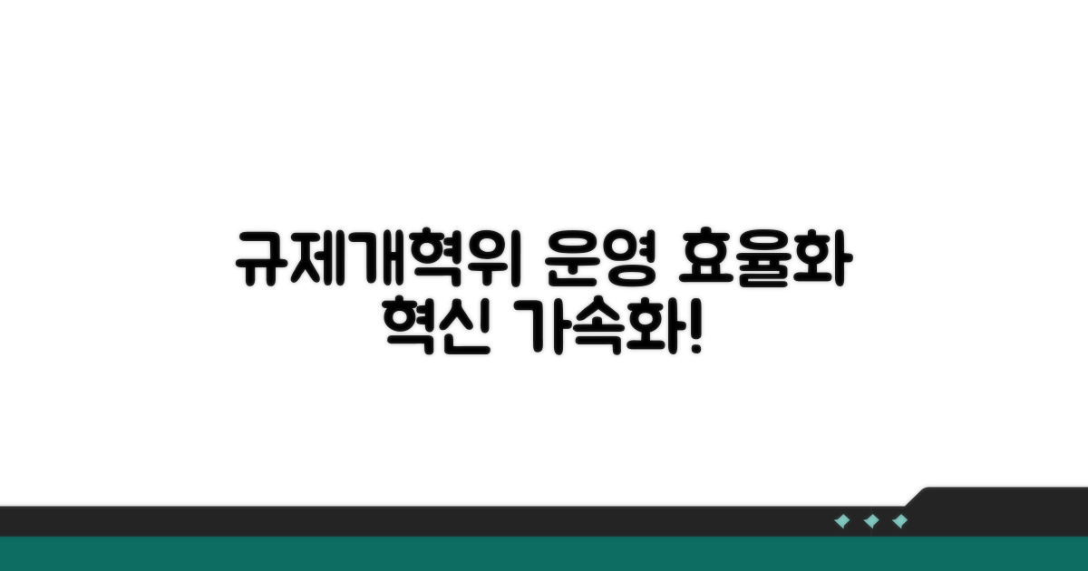 규제개혁위 운영 효율화 방안