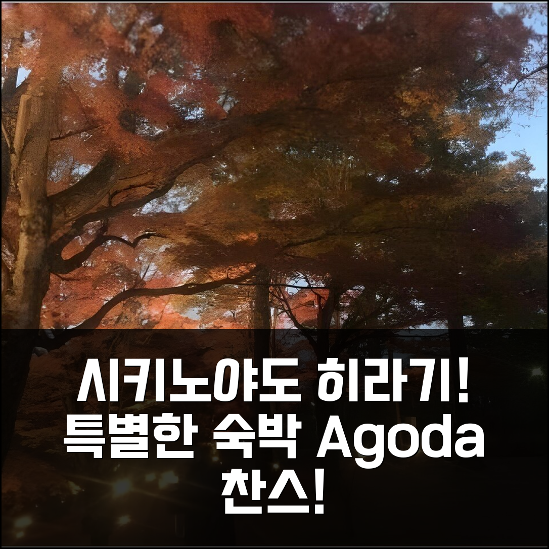 시키노야도 히라기! 특별한 숙박!
