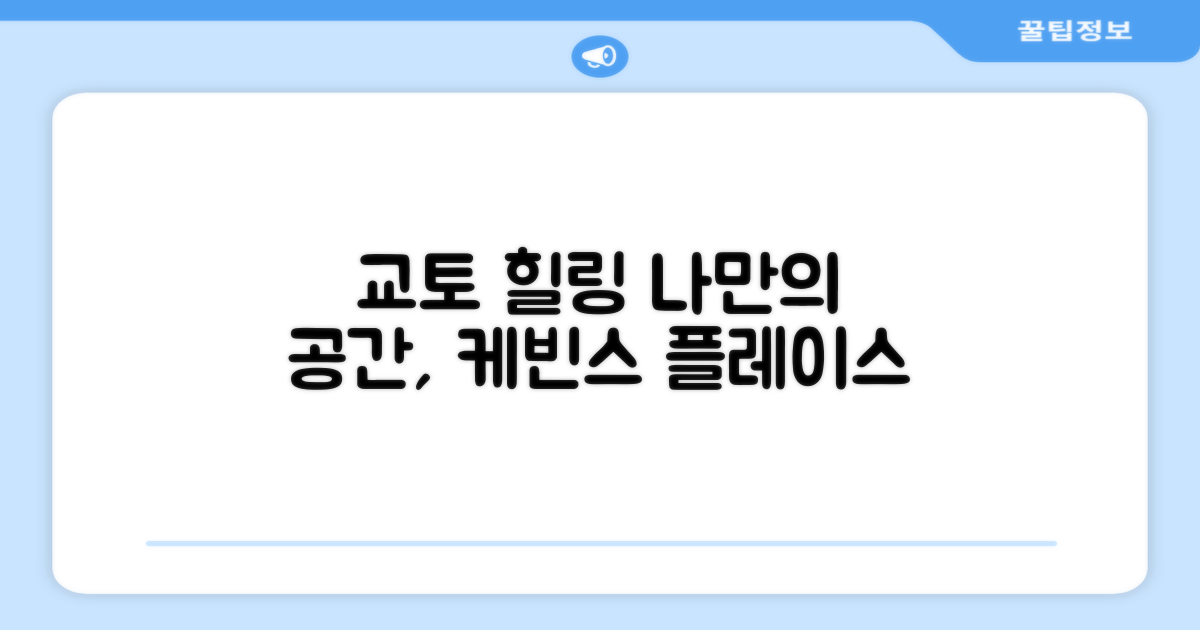 교토에서의 편안한 휴식, 케빈스 플레이스 애넥스