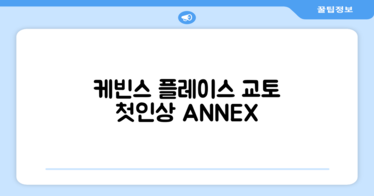 케빈스 플레이스 애넥스, 교토에서의 첫인상