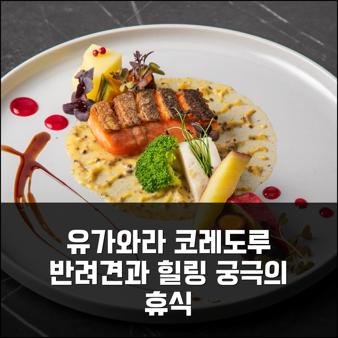 유가와라 코레도루 도그 앤 리조트, 반려견과 함께하는 힐링 여행 강력 추천