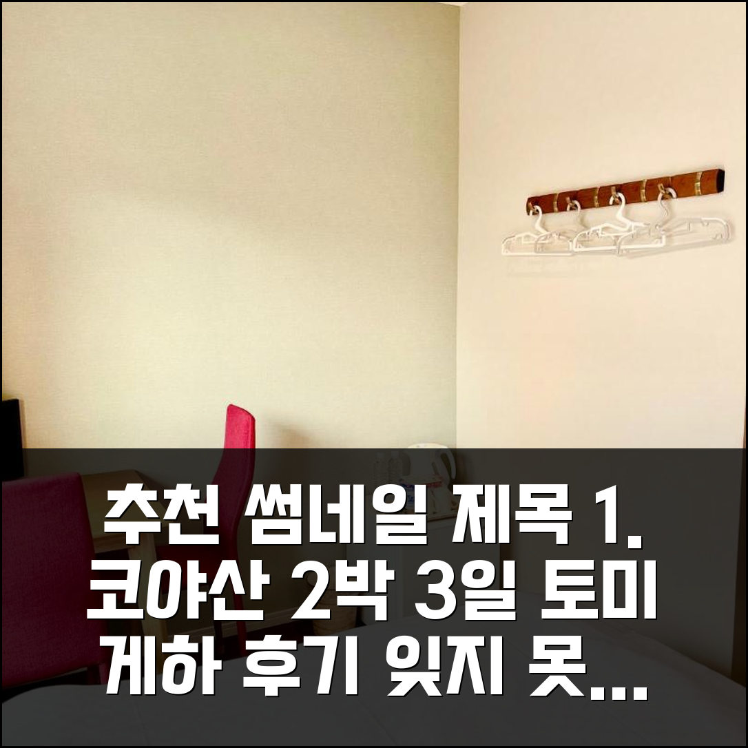 2박 3일 고야 코야산 게스트 하우스 토미 숙박, 잊지 못할 경험 후기