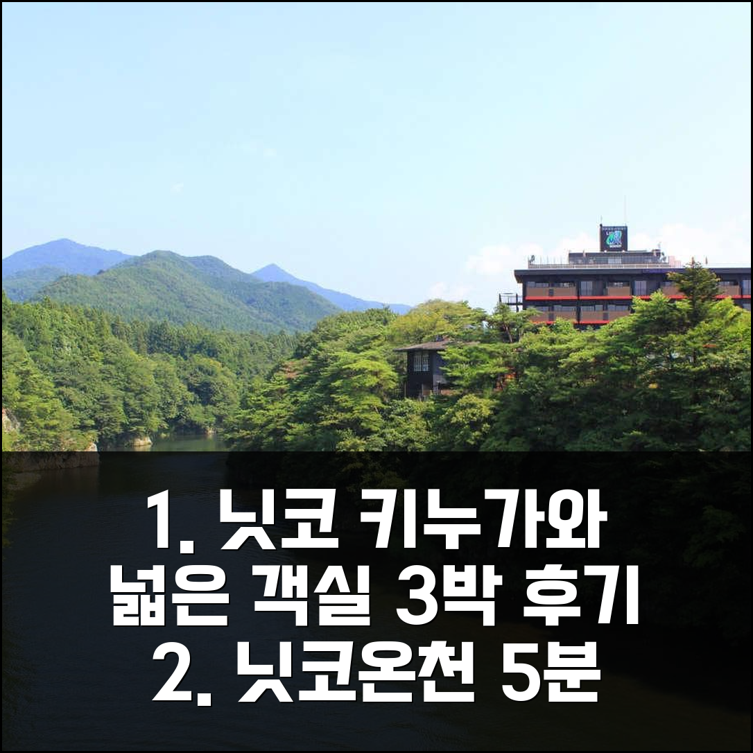 닛코 키누가와온천역 5분, 라이브맥스 리조트 넓은 객실 3박 후기