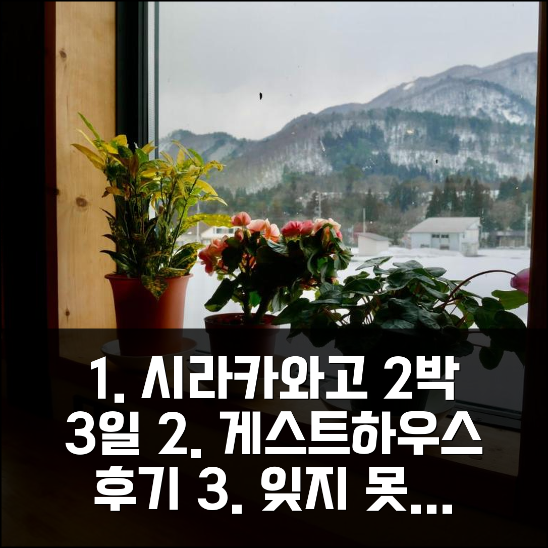 2박 3일 시라카와고 게스트하우스 시라카와고 인 후기, 잊지 못할 추억