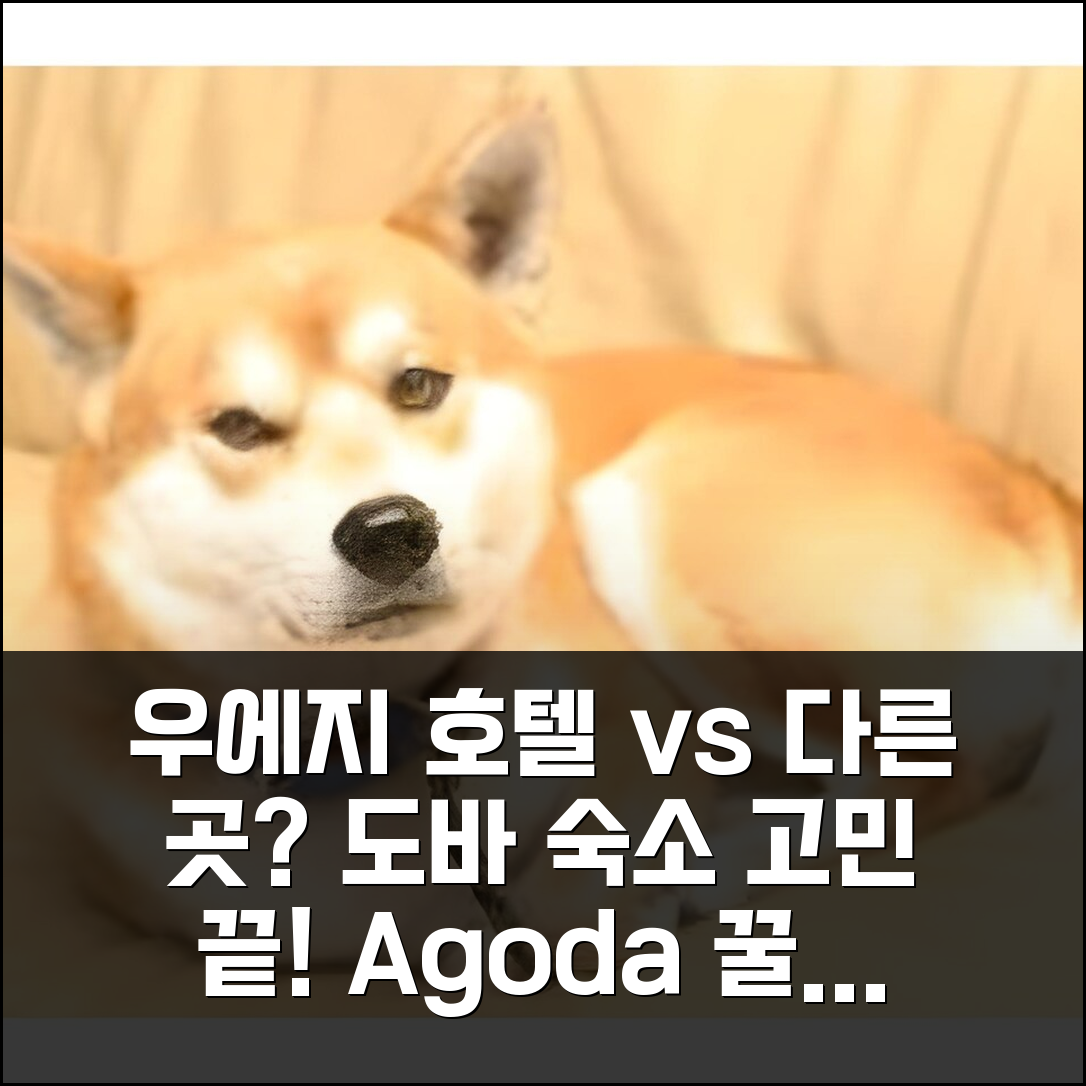 우에지 호텔 vs 근처 다른 곳? 도바 숙소 고민 끝! 꿀팁 가이드