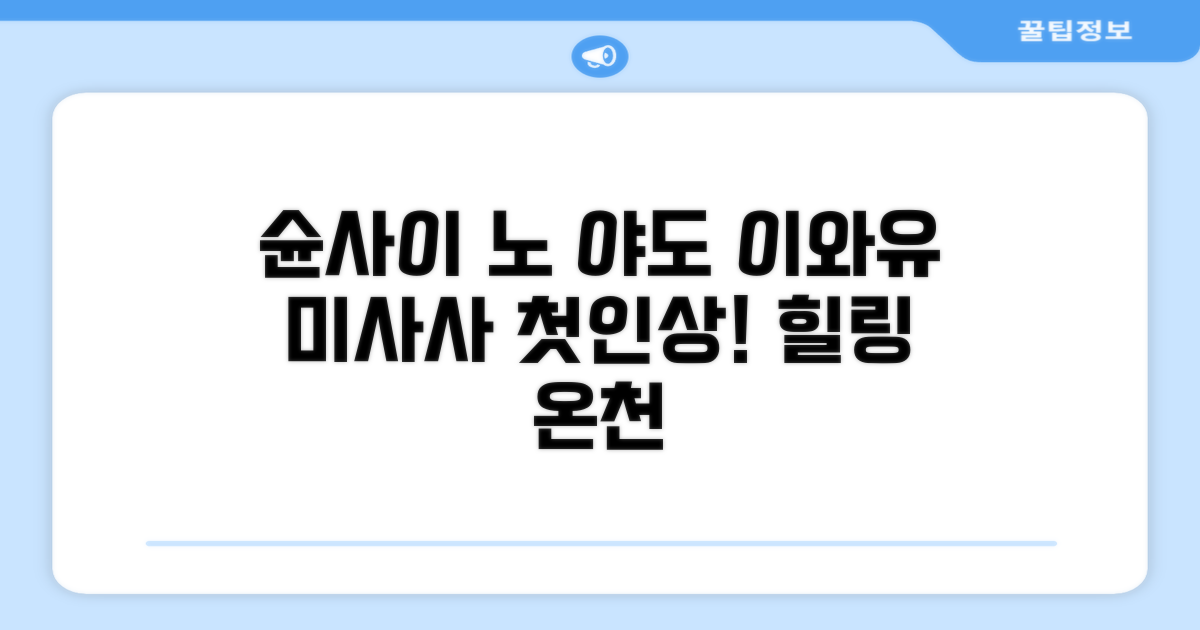 슌사이 노 야도 이와유 료칸, 미사사에서의 첫인상